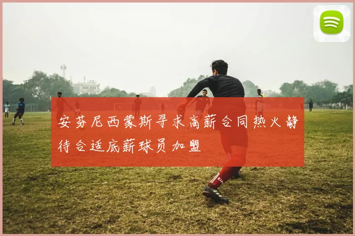 安芬尼西蒙斯寻求高薪合同热火静待合适底薪球员加盟