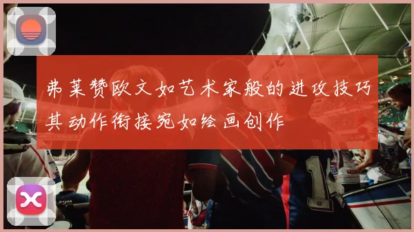 弗莱赞欧文如艺术家般的进攻技巧其动作衔接宛如绘画创作