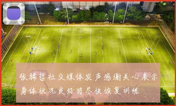 张稀哲社交媒体发声感谢关心表示身体状况良好将尽快恢复训练
