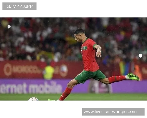 法甲球员身价下滑分析扎伊尔埃梅里与帕瓦尔领衔跌幅榜 法甲球员身价下滑分析扎伊尔埃梅里与帕瓦尔领衔跌幅榜